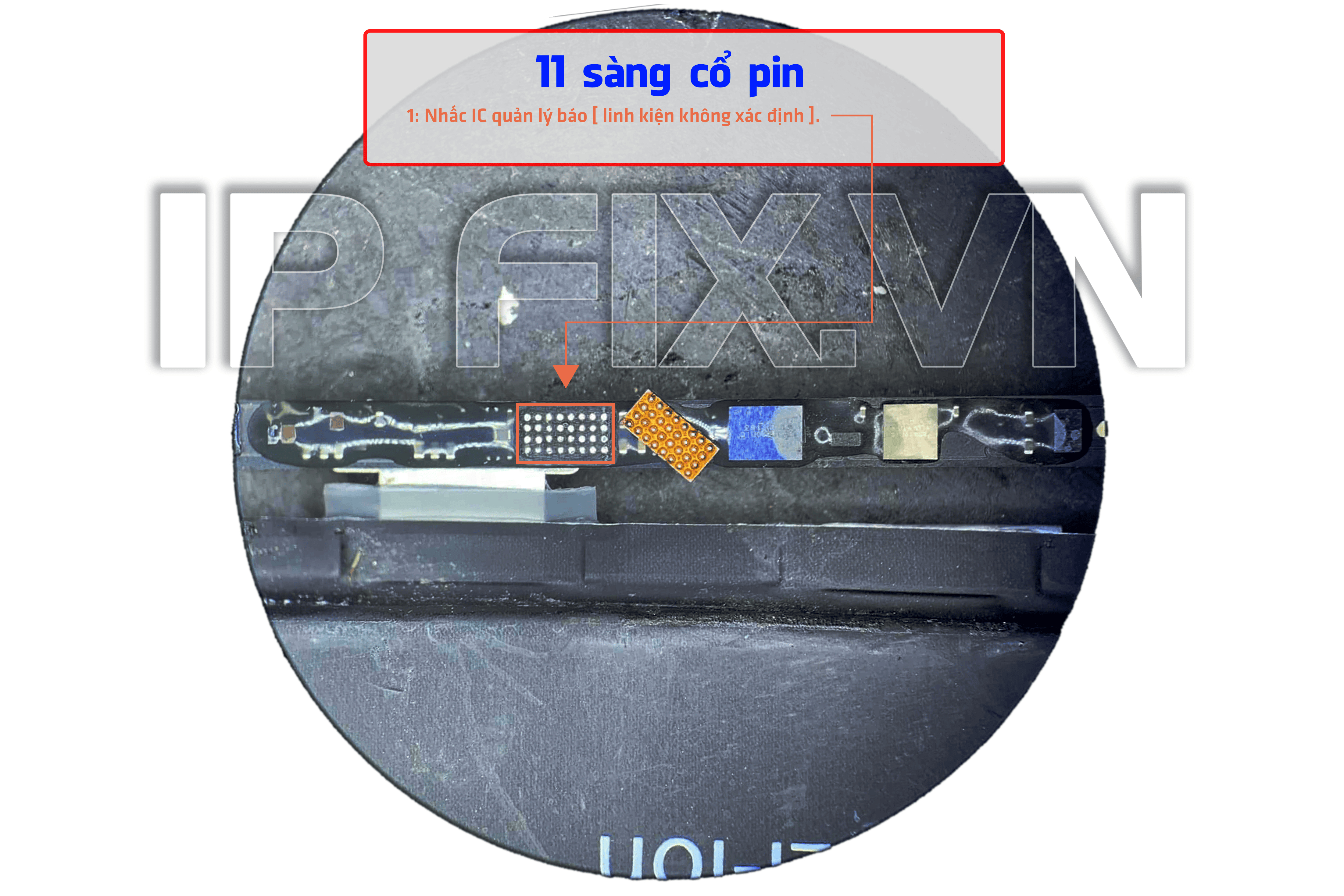 11 sàng cổ pin