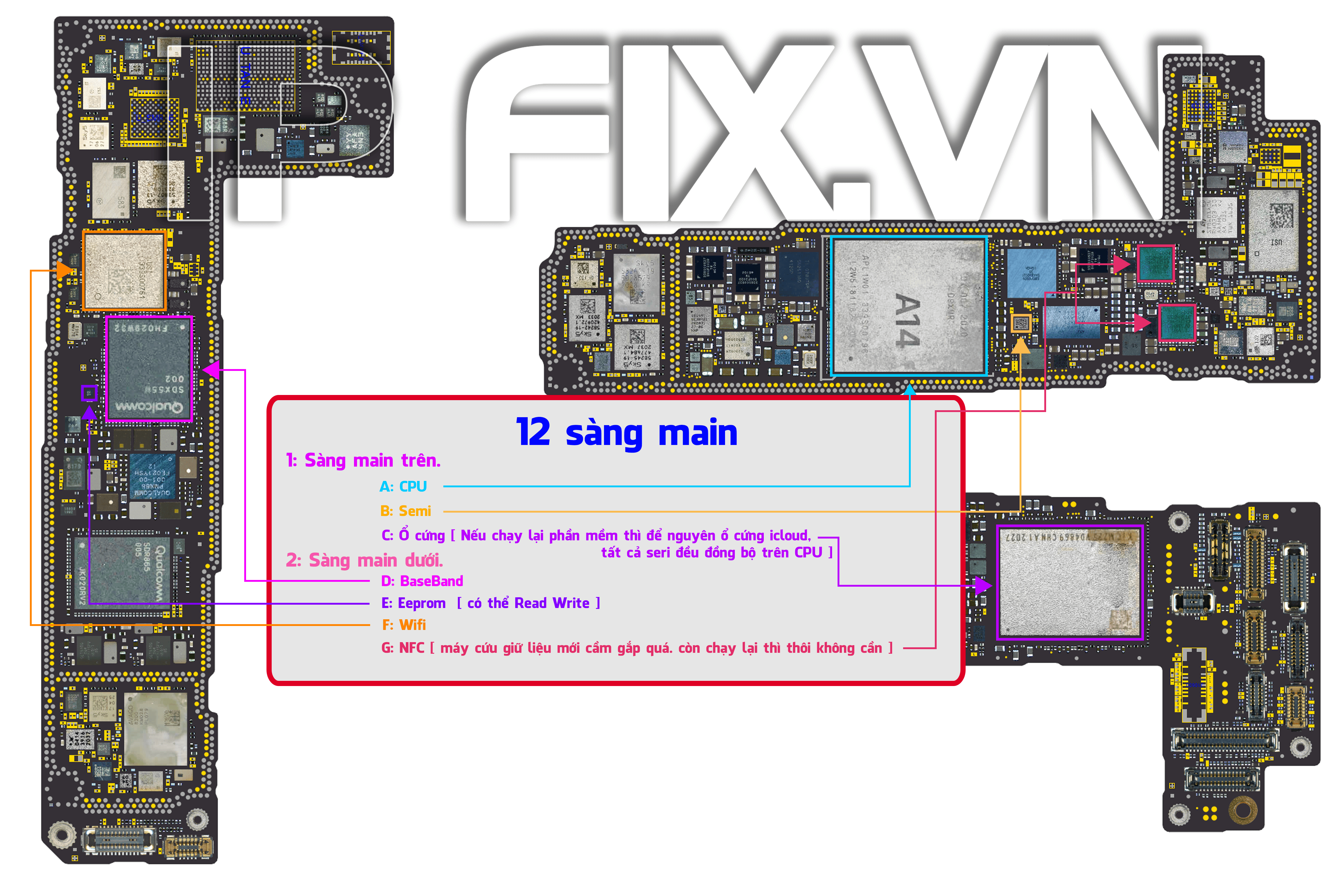 12 sàng main