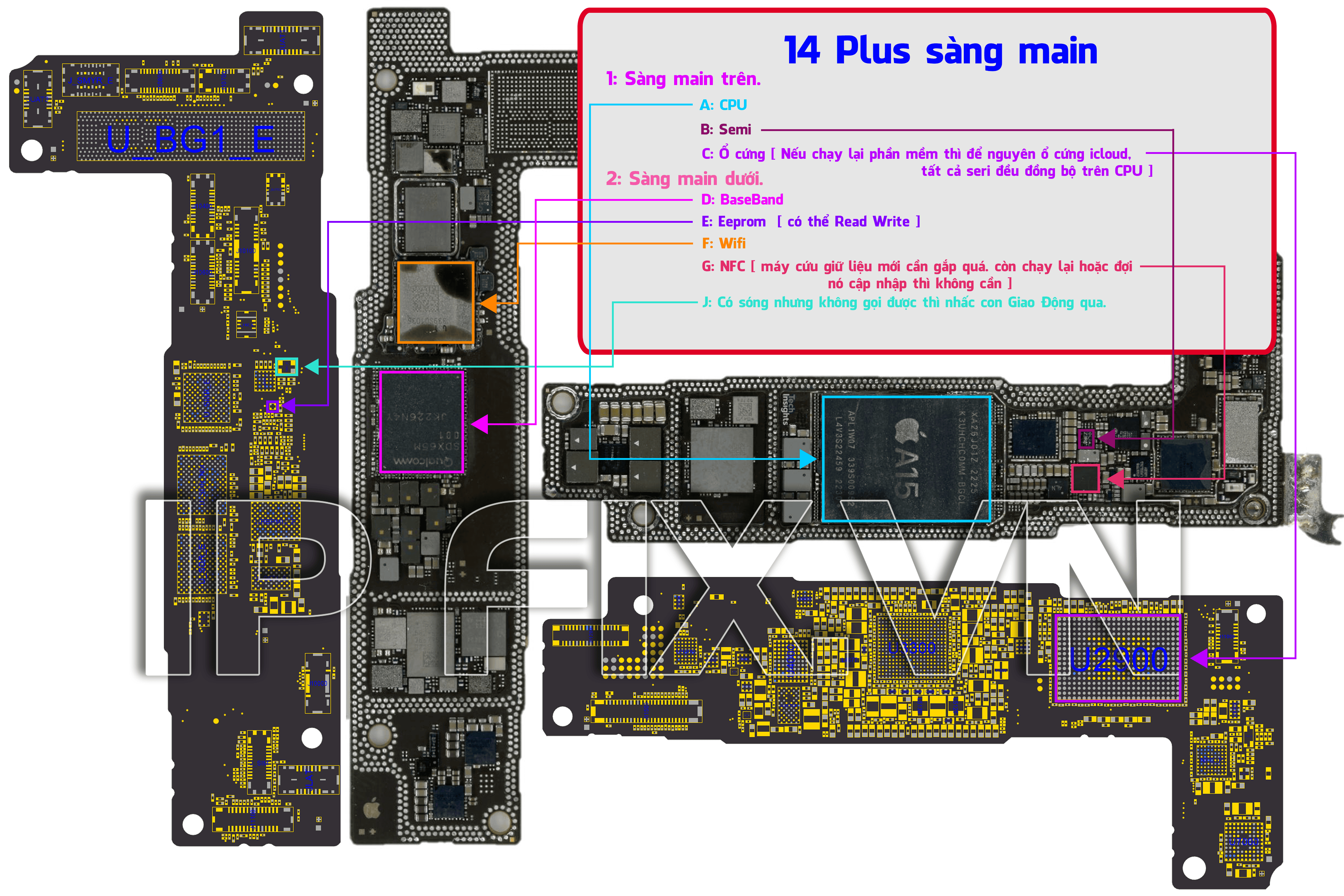 14 Plus sàng main